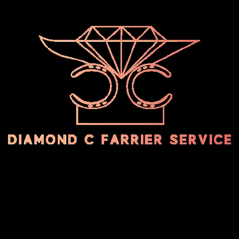 FormaHoofLtd giphygifmaker farrier dcf diamondcfarrier GIF