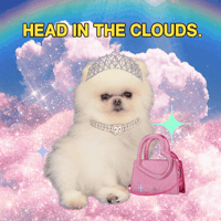 Dog Puppy GIF by Paris Hilton