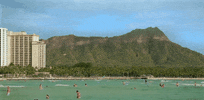 hawaii GIF