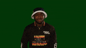 What The Wtf GIF by RCA Records UK
