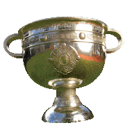 Football Gaa Sticker by SuperValu Ireland