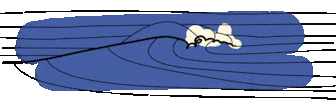 Summer Sea Sticker by Luisa Misseri
