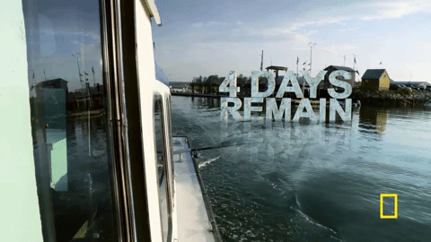 wicked tuna GIF by National Geographic Channel