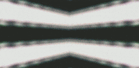 anniemuse psychedelic color abstract mushroom GIF
