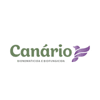 Canario Sticker by AgRoss