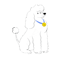 Dog Pet Sticker by KIKA Lietuva
