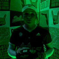 South Florida Horns Up GIF by USF Athletics