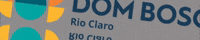 DomBoscoRC dom bosco dbrc dom bosco rc dom bosco rio claro GIF