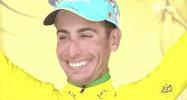 GIF by Italia Team