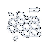 Ipaw Sticker by PPTA Global