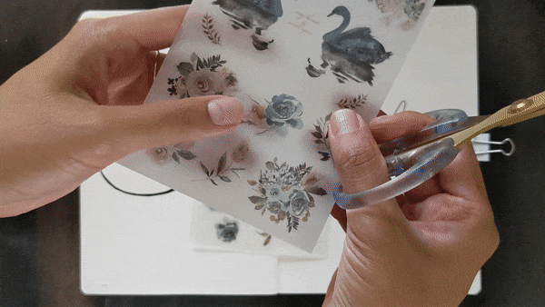 scriptandsea giphyupload GIF