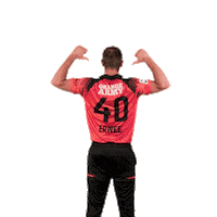 sunriserseasterncape cricket sec sunrisers sa20 Sticker