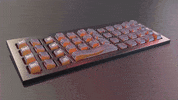 PalomarPeace  GIF