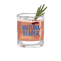 Christmas Cocktails Sticker by Sienna Spirits