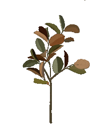 Leaf Sticker