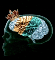 efnjj smart m7mdiq high iq efnjj GIF