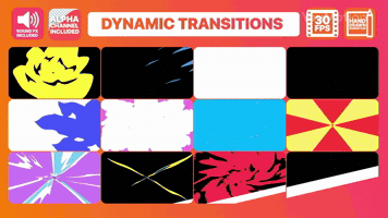 Dynamic Transitions Collection