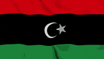 Flag Jamal GIF