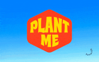 Plants GIF by Sunwink