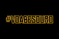 voabesouro empreendedorismo voa besouro instituto besouro GIF