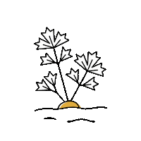 Scared Orange Sticker by Fabryka Rozsady