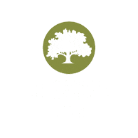 Big Money Success Sticker by Anderson Real Estate Group