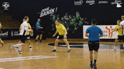 Celebrate Czech Republic GIF by HCB Karviná