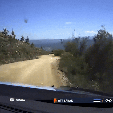 Driving Fast Car GIF by FIA World Rally Championship