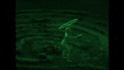 X Files Ufo GIF by Polyvinyl Records