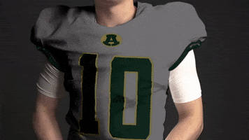 Cincinnati Bengals Nfl GIF by LSU Tigers