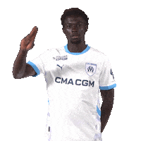 Ligue 1 Football Sticker by Olympique de Marseille