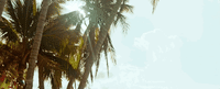 puerto rico paradise GIF by Pedro Capo