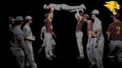 D3B GIF by CUCougars