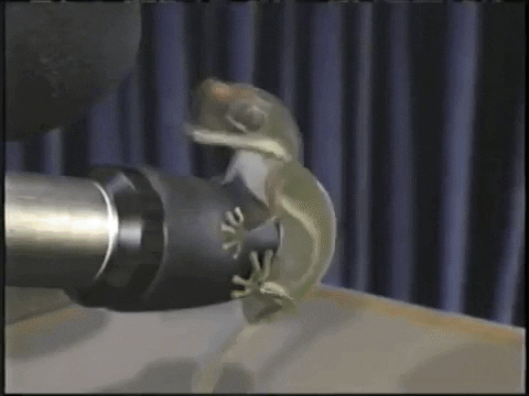 90S Commercial Geico Gecko GIF by ADWEEK