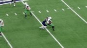utsa roadrunners football GIF by UTSA Athletics