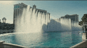 Las Vegas Surfing GIF by Imagine Dragons