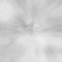 Merry Christmas Reindeer GIF by TeaCosyFolk