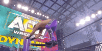 Matt Hardy Aew On Tnt GIF by All Elite Wrestling on TNT