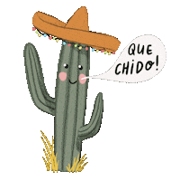 Mexico Chill Sticker