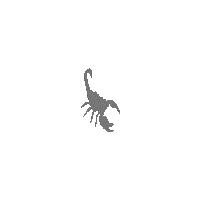 Scorpsproduction love happy fun scorpion Sticker