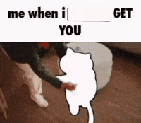 Neko Atsume Vr GIF