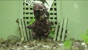 jurassic park dachshund GIF