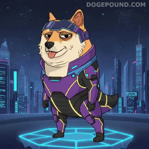 Shiba Inu Dog GIF by Doge Pound