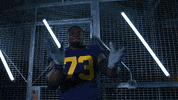 Go Blue Ncaa Football GIF by Michigan Athletics