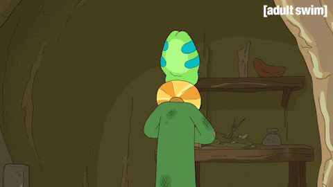 Season 2 Episode 6 GIF by Rick and Morty