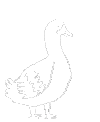 Happy Art Sticker by Molly Saunders