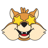 Excited Starry Eyed GIF by Université de Sherbrooke