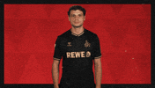 Football Sport GIF by Bundesliga