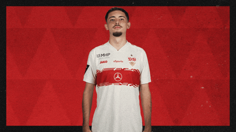 Vfb Stuttgart Football GIF by Bundesliga