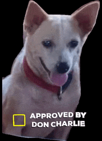 PawssionProject happy dog check approved GIF